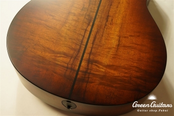 TGS2014 GSce-Koa